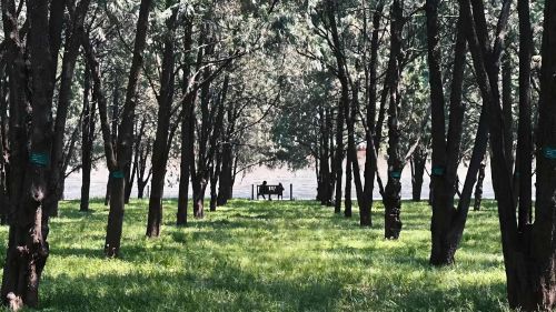 The-Sea-of-Ditan Park
